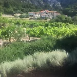 펜션 Idyllisches Haus An Weingaerten 30 M Von Kiesstrand